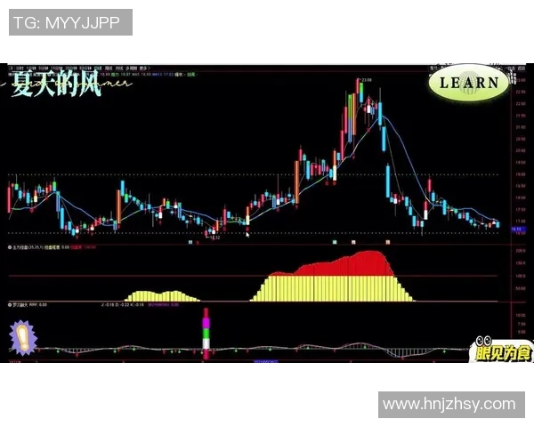 独家解析西安排球队团队协作模式的差异与优势分析