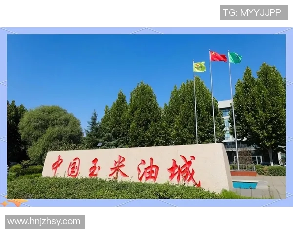 山东西王与西王集团的战略合作与发展前景分析