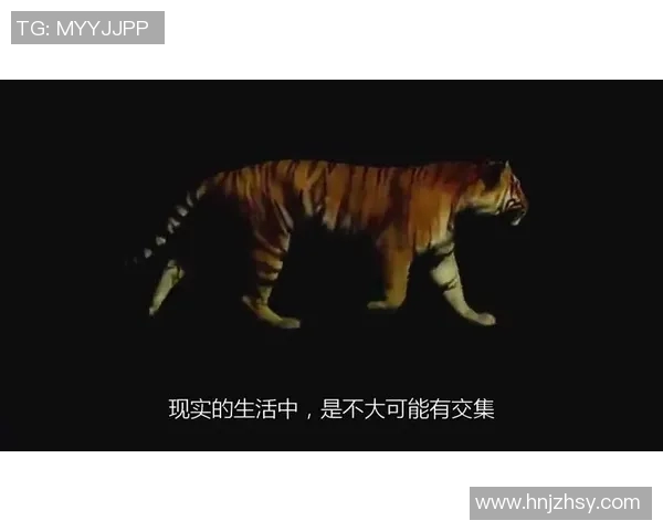 老虎竞技与拉菲拉的巅峰对决谁能在赛场上笑到最后